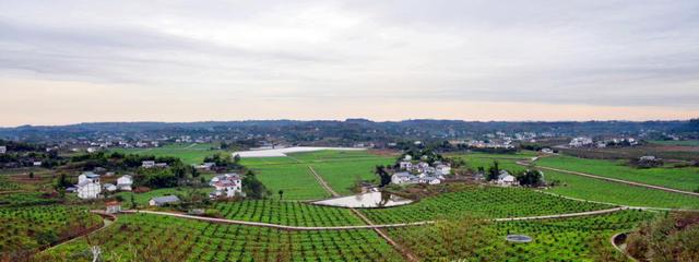 广安■广安十大乡村旅游点位发布，邀您共赏田园风光（附旅游线路）
