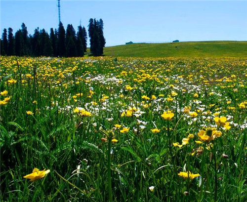 孙中山|孙中山预言,中国若迁都到这三座城有望称霸亚洲,这三城都在哪?