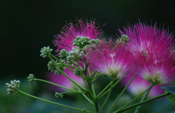 「运势」下周开始，迎人生春天，4属相事业一帆风顺，喜事连连，万事大吉