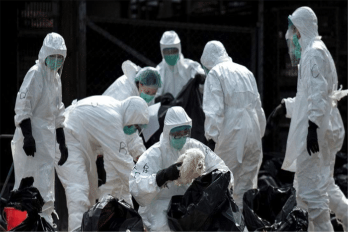 印度|新冠感染超3亿!莫迪最后遮羞布被撕碎,向美俄求购疫苗遭打脸:钱呢