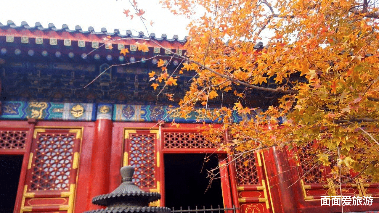 丹霞地貌|北京又一景区走红，成为秋季一日游最佳地，漫山红叶门票仅10元