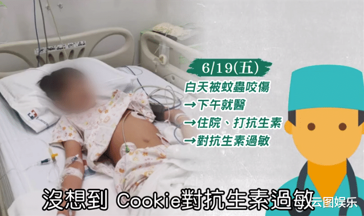 「医生」知名女星13岁儿子被蚊虫叮咬引发败血症，今日搭专机送往国外续命