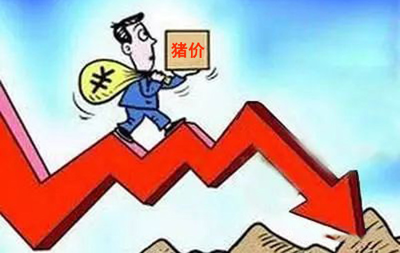 储备肉@猪市未达“预期”，间隔5天后，加码投放30000吨储备肉，该知晓