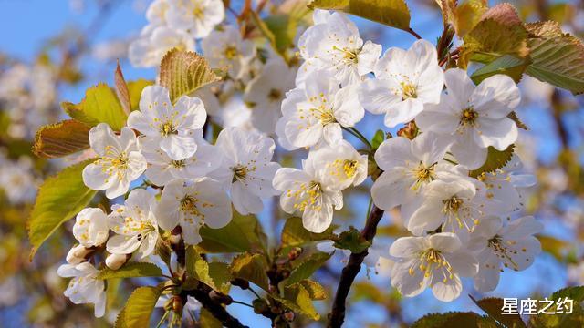运势@在5月下旬,红鸾心动,真情流露,携手真爱的三大星座