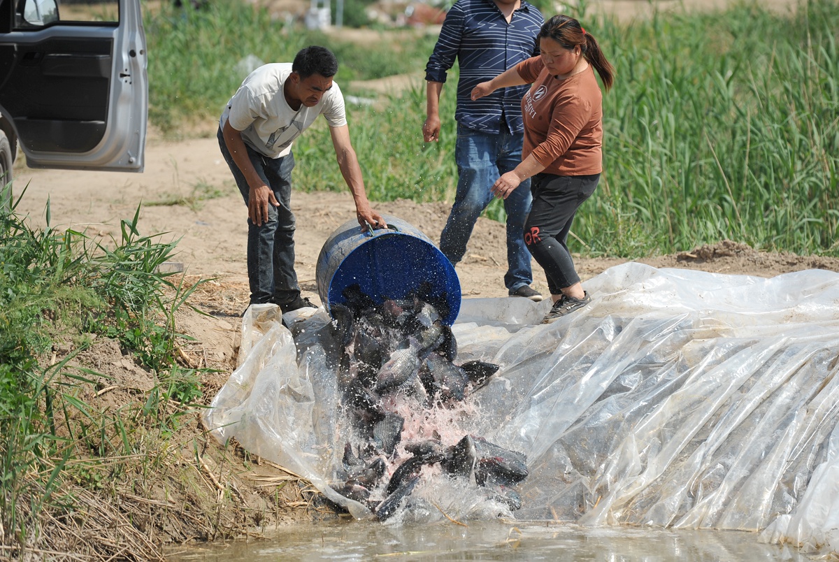 『山西省』钓友五一假期垂钓黑坑，钓费掏了100元，一上午却只上钩一条