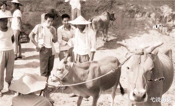 博物馆|男子挖出国宝中的国宝，家人却嫌晦气，他主动上交后得五双白手套