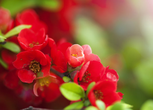 霉运|进入11月下旬，4属相霉运散去，财运滚滚，贵人相助，生活顺心