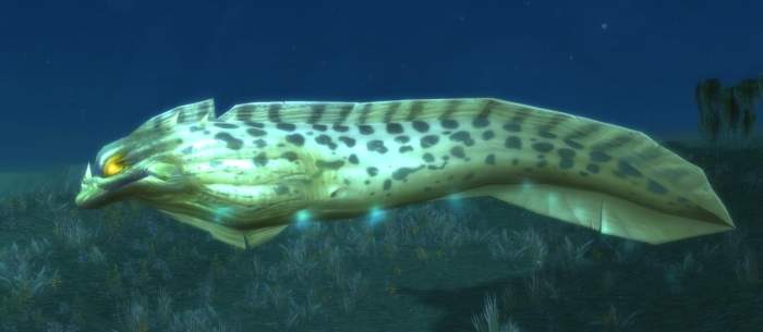 鳄鱼:连鳄鱼见了都要逃跑的动物, 就是这一条鱼