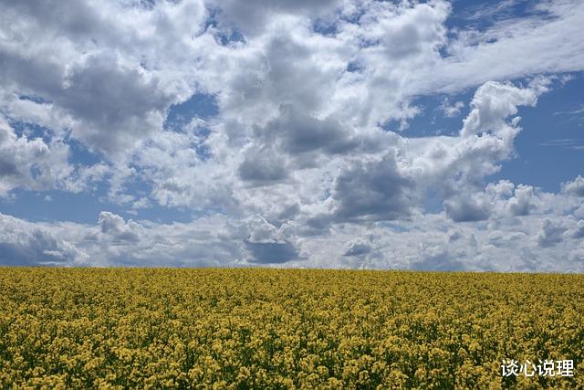 天蝎座|两周后，江湖再见，两不相干，3星座放手旧爱，活出自己的精彩