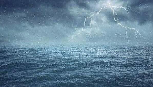 蚊子|为什么蚊子冒着生命危险,就是为了吸一口血?值得吗?