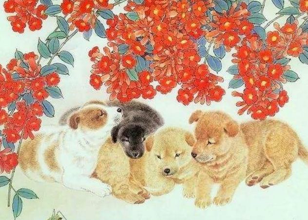 「属狗」家有属狗人“囍事”来了，请接收福气