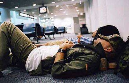 睡鼠|为什么这种动物能够一睡睡9个月？睡完起来交配，网友：想变成它