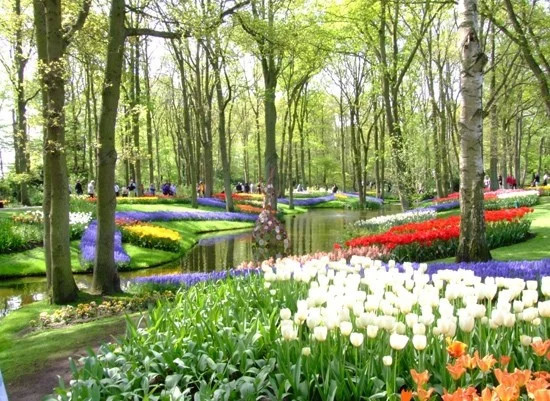 设计师|打造一个精美的小型家居庭院不难，设计师教你处理好“六大关系”