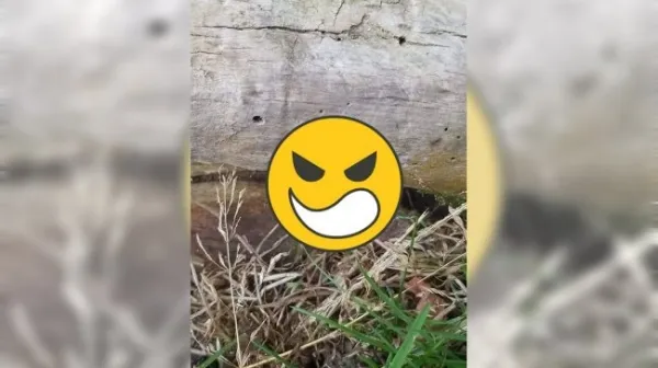 『标题党』吓人！男子爬山时发现疑似脚趾，已经发黑…最后大跌眼镜！