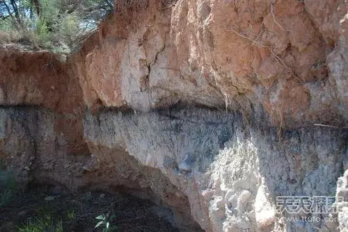 外星人@最新整理!外星人存在的28个证据曝光!铁证如山!