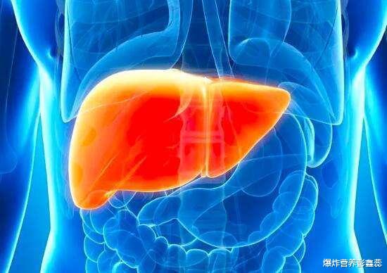 【肝脏】想要养肝护肝，尽量少吃3种白色食物，越早戒掉越能减少危害