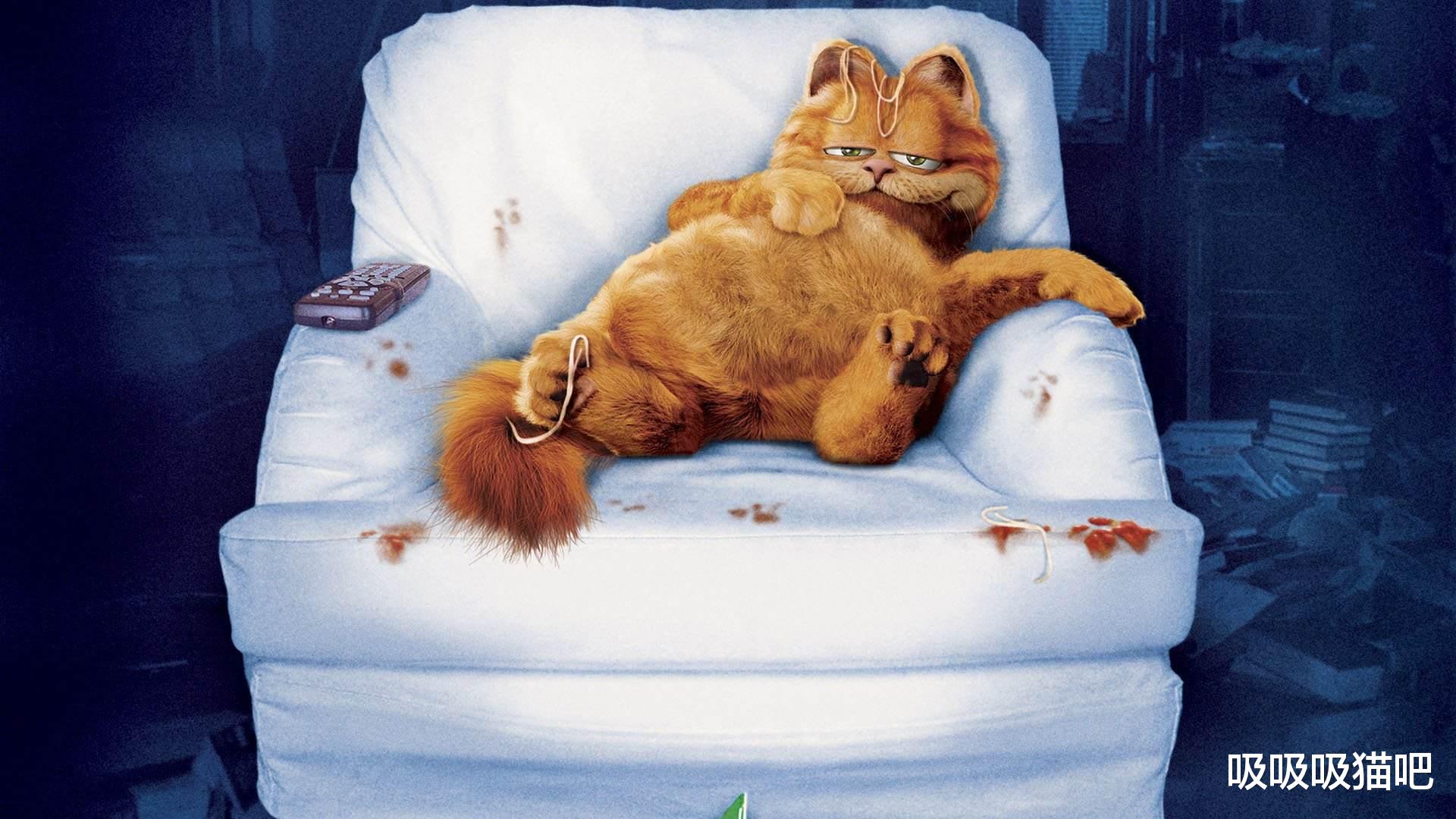 吃东西，猫咪凑过来舔了一下，被猫舔过的食物能吃吗？