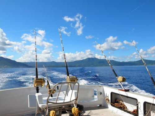 海钓|海钓时用什么鱼饵好呢？