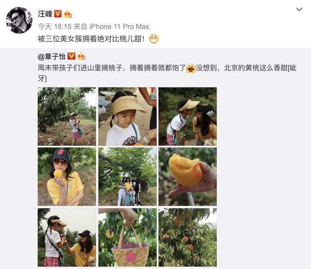 章子怡|汪峰一家四口果园摘桃，小苹果紧贴章子怡合影，感情超好