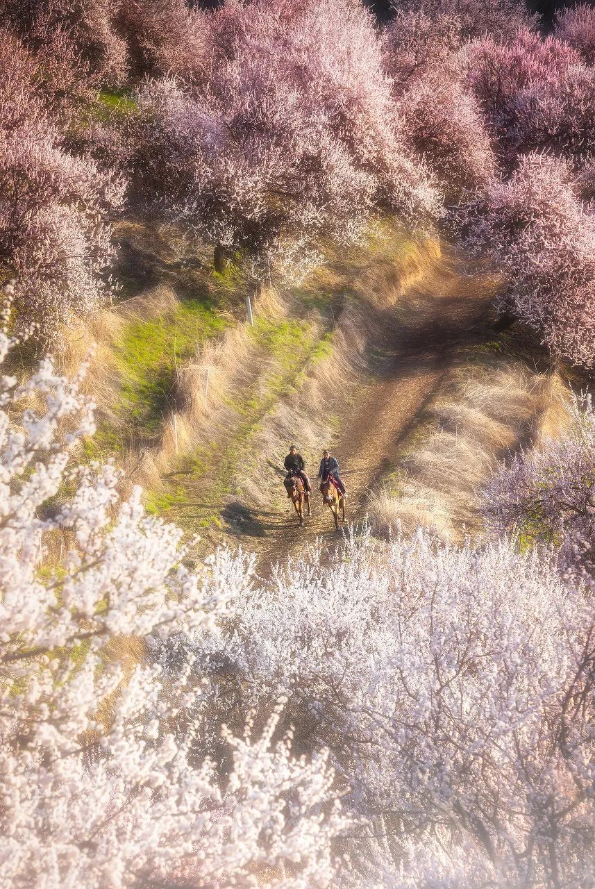 旅行|15个情侣最爱打卡的旅行地，去过5个忍不住想结婚！