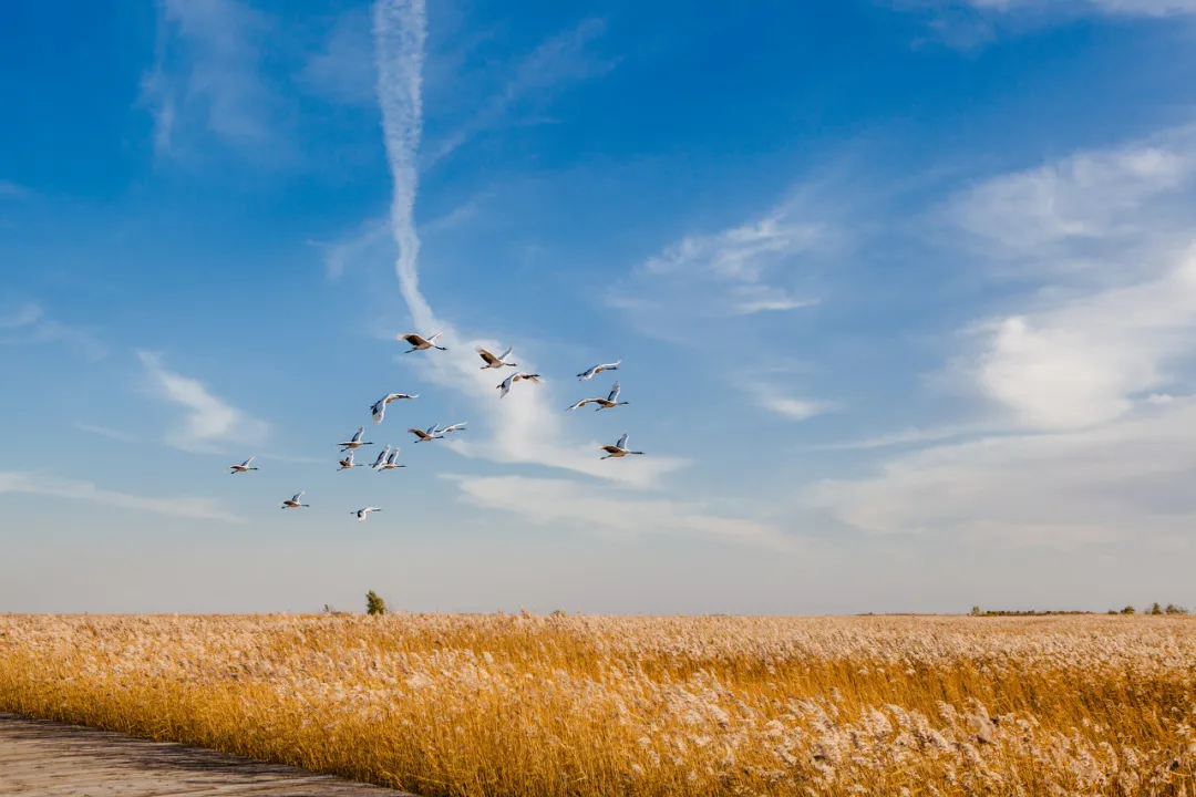长白山|秋天的东北藏不住了，一组照片流出后，全世界都被惊艳了！