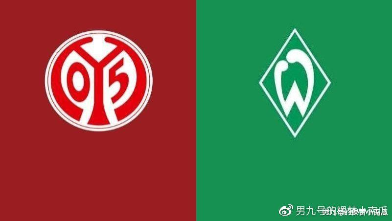 [德甲]2019-20赛季德甲第33轮美因茨vs不莱梅