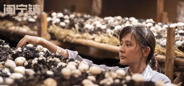 孔笙|正午阳光孔笙新剧，剧照都能看出演技，网友：这部剧稳了