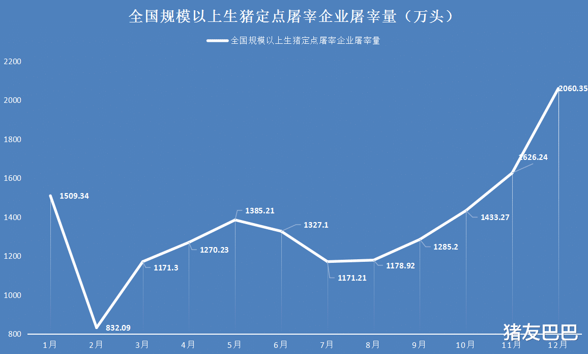生猪价格 15日猪价突变，改变行情并非冻肉，这一数据或戳穿猪企缺猪的谎言