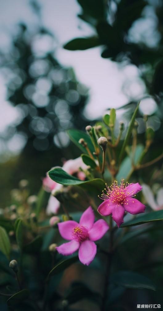 生肖|这3个星座心胸宽广，有着良好口碑，易受人待见