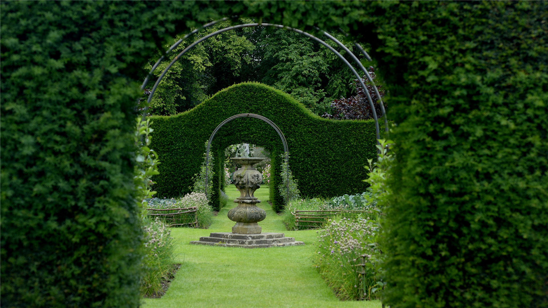 生肖|12月，桃花绽放，情根深种，非常花心，三心二意，普通人驾驭不了