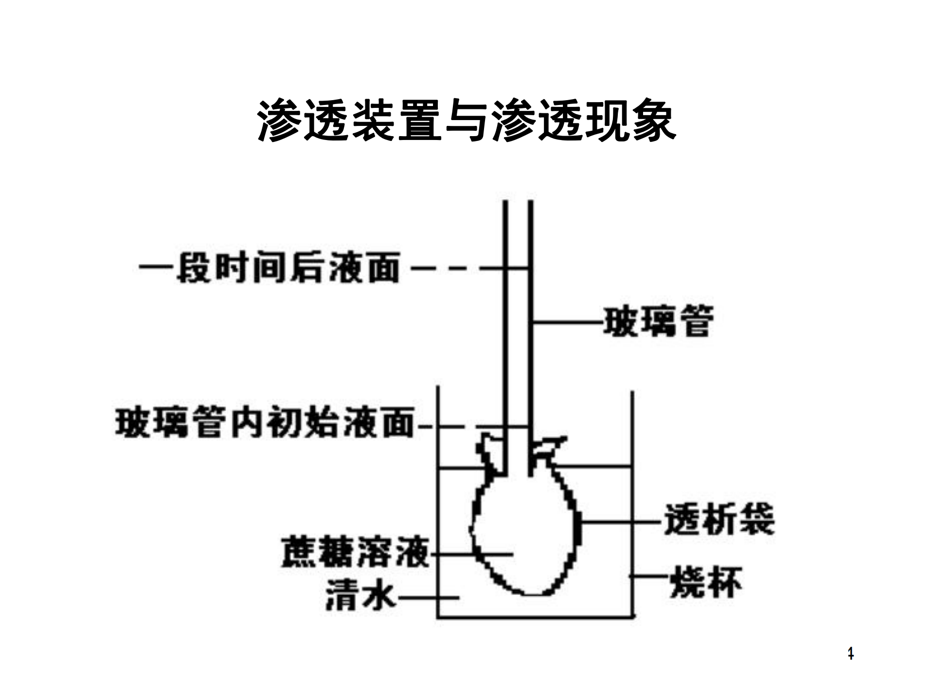 情侣|嗨！这有一份，高中生物｜所有重要图解彩色总汇，想要的拿走！