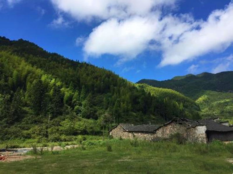 趣观历史|轰动一时的“浙江鬼村案”：76位村民离奇死亡，一场大火烧出真凶