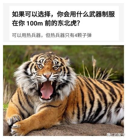 |穿越到三年前给自己打一个30秒的电话，你会说什么呢？