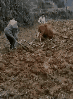 |这父亲也太逗了,孩子都要大学毕业了,他还以为今年参加高考