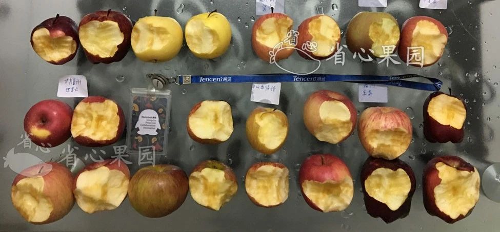 五花肉|如何才能做一个合格的吃货？