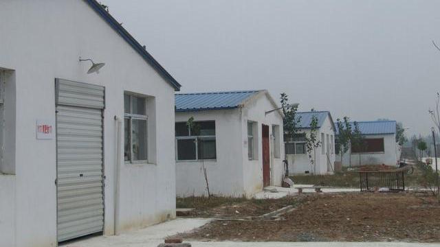 山西省|一亩地补800元，农民还是拒绝在自家地里建猪场，嫌钱少？