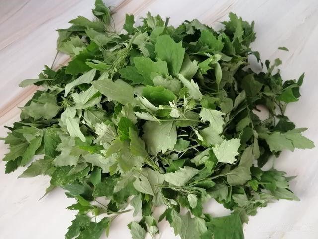 鸡蛋|人没老,腿先老!路边的“天然钙库”,补钙比鸡蛋强太多,还免费