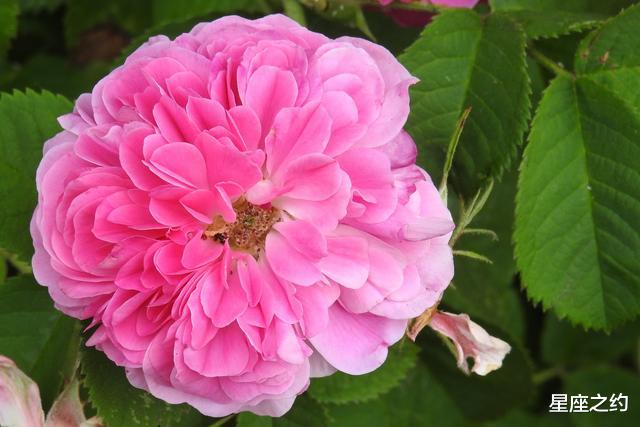 天蝎座|在8月下旬，彻底放手，云淡风轻，再无瓜葛的三大星座