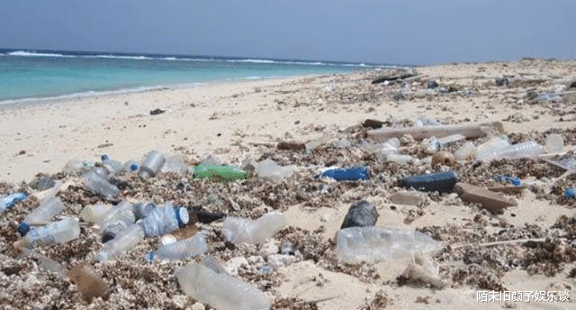 地沟油|中国出口大量工业垃圾，竟遭欧美多国的疯抢，网友：太奇葩