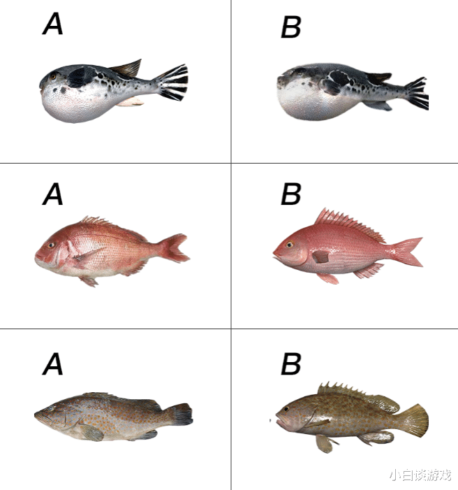 手机游戏|网易最精致的游戏，细节拉满！玩家：鱼竿上的细菌也是敲好看
