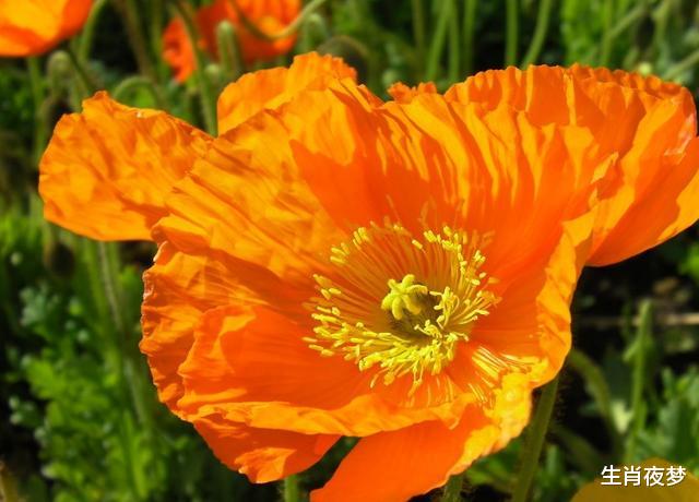 吉星：6月下旬，运势上上签，3生肖遇事有贵人帮忙解决，事业旗开得胜