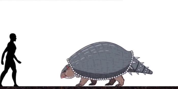 恐龙|远古时期的地球, 曾存在过的可怕生物, 今已全部灭绝