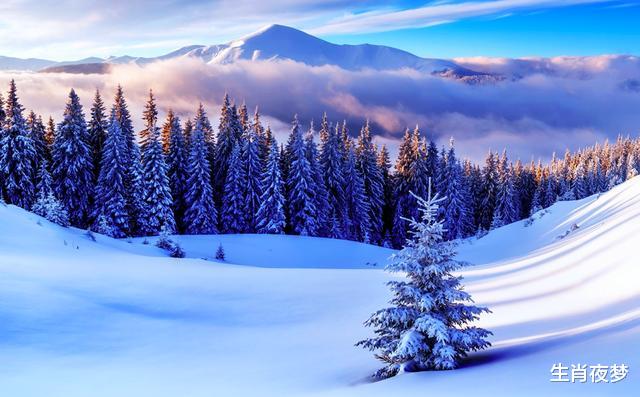 生肖|10月，缘之所寄，一往情深，思念旧情人，相爱到底，回心转意