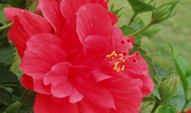 旧爱|从10月2号开始喜气满满，富贵不愁，事业顺利的三生肖