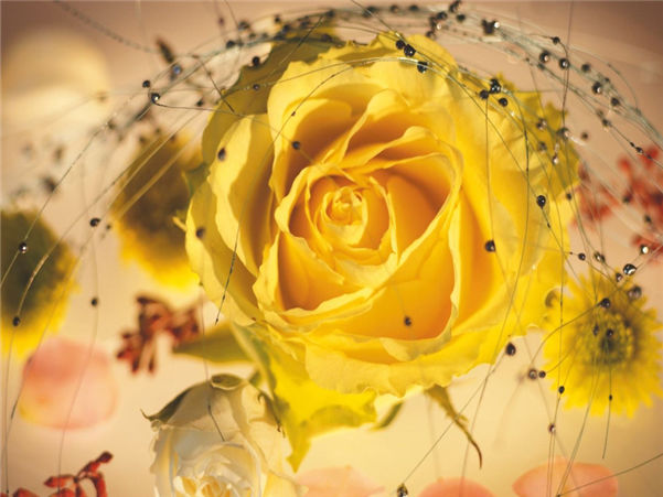 「生肖」最爱干净的3个生肖女，婚后最勤快，家中一尘不染