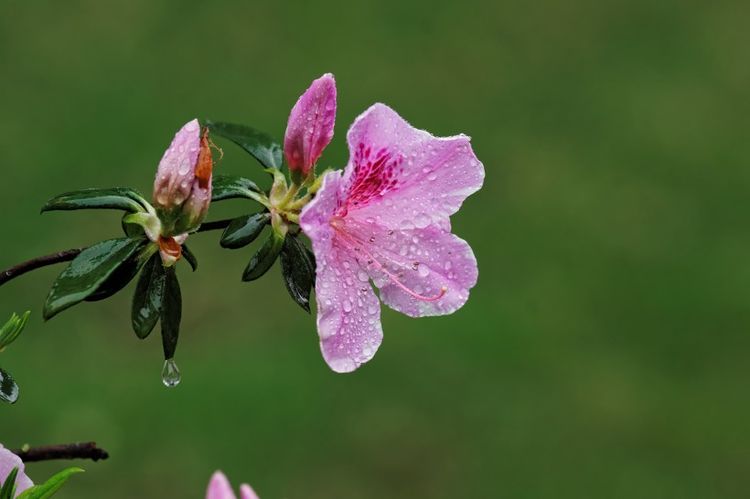 天蝎座|9月份开始，桃花运势不可挡，将迎来属于自己的真爱的4大星座