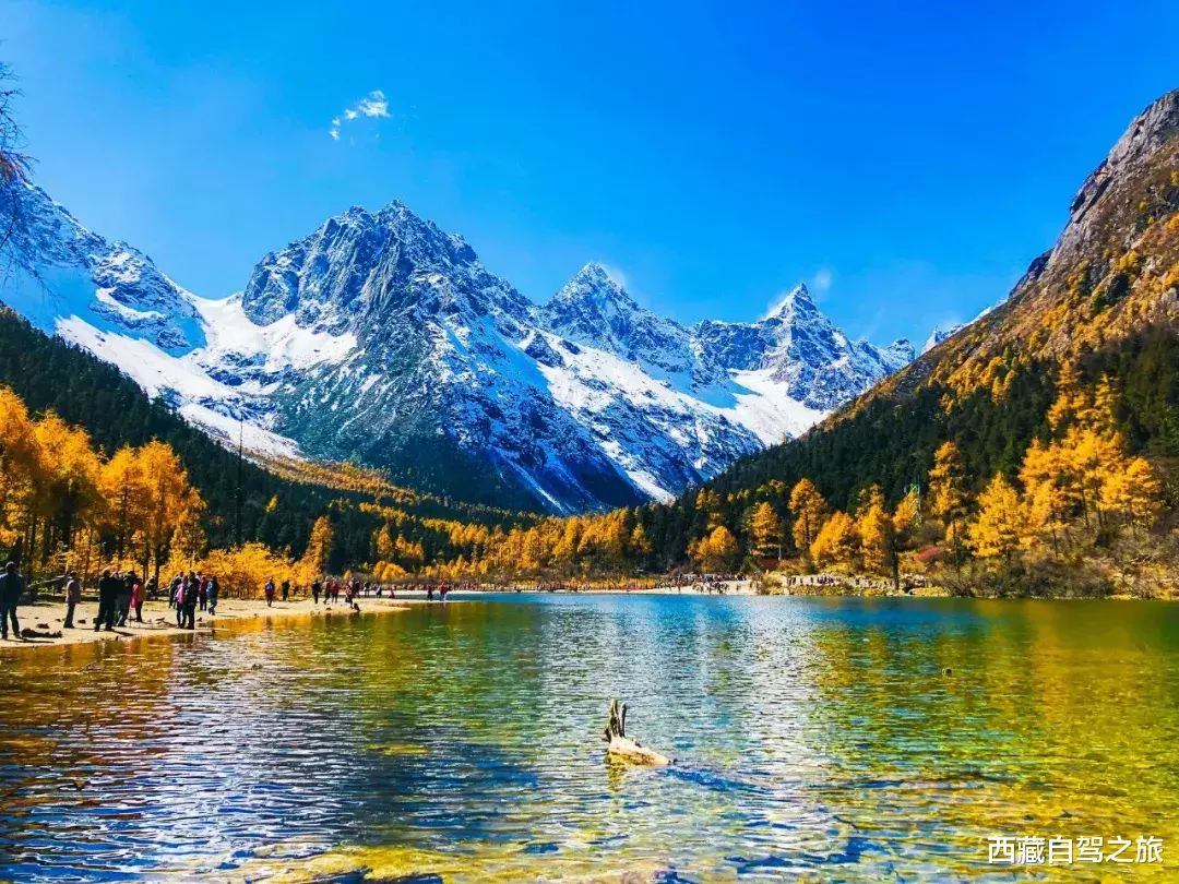 川西|深秋酝酿的五彩斑斓，全在川西晕染开了！