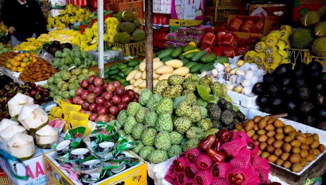 「新疆维吾尔自治区」从新疆出发，中国最长最美公路横空出世，一路顶级风光！