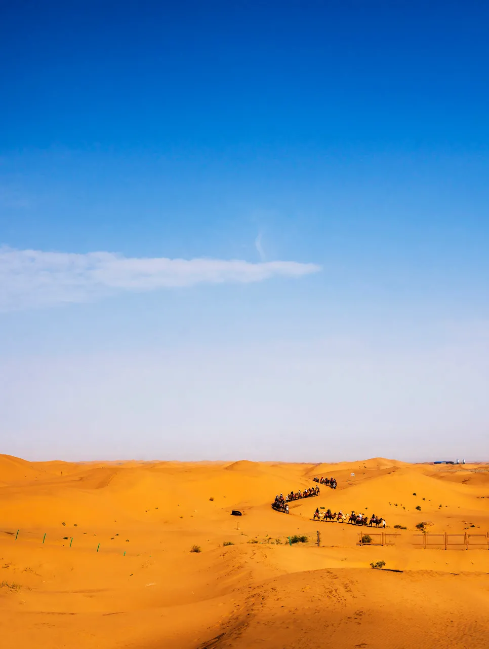 额济纳|忽然,想去额济纳了
