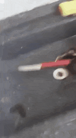 |“第一次钓鱼就被咬，好在是条招财龙鱼，值了！”哈哈哈